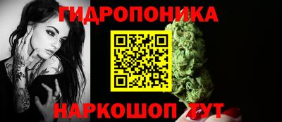 mdpv Лесосибирск